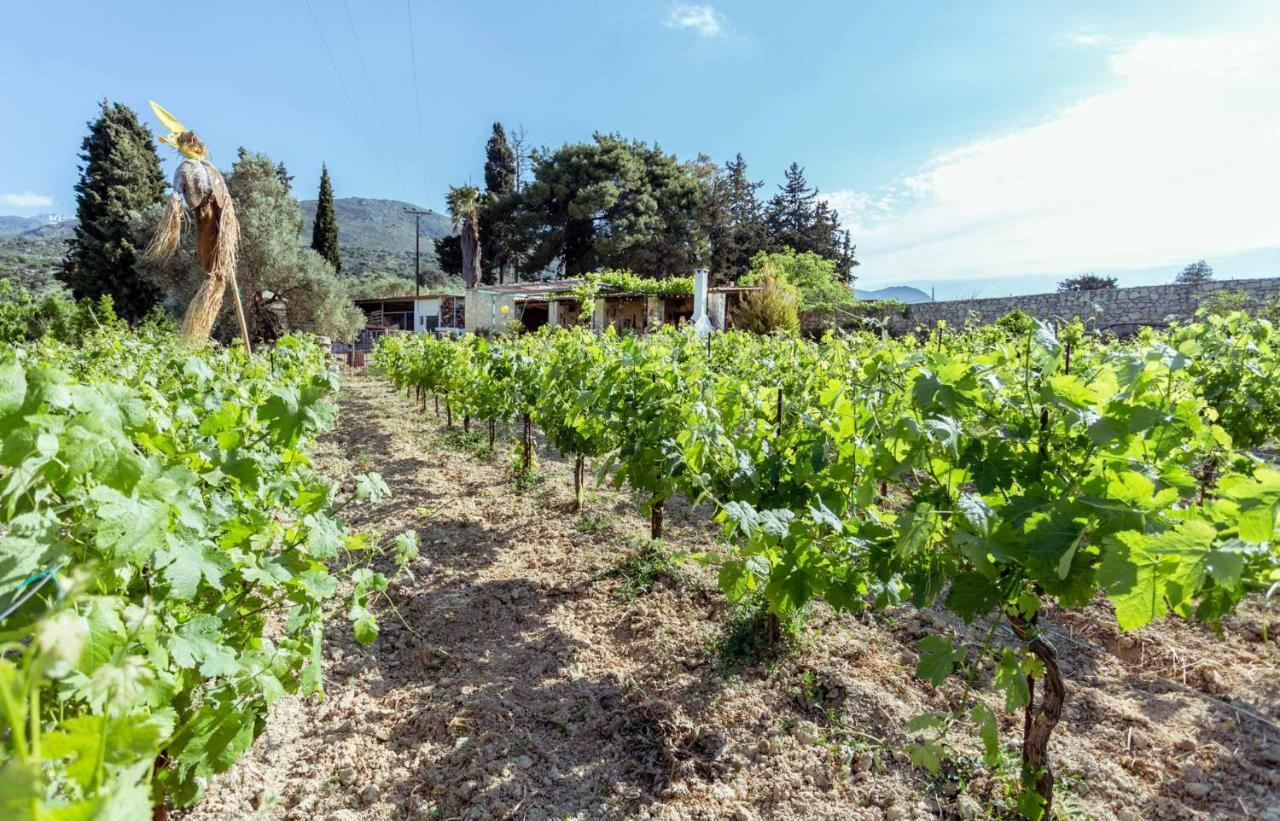 Nassibe Estate Villa Agios Ioannis  Buitenkant foto